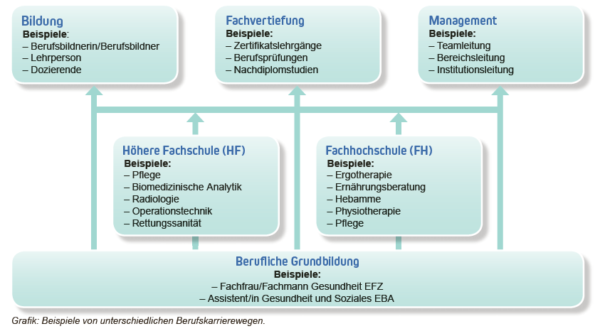 Berufskarriere auf vielen Wegen