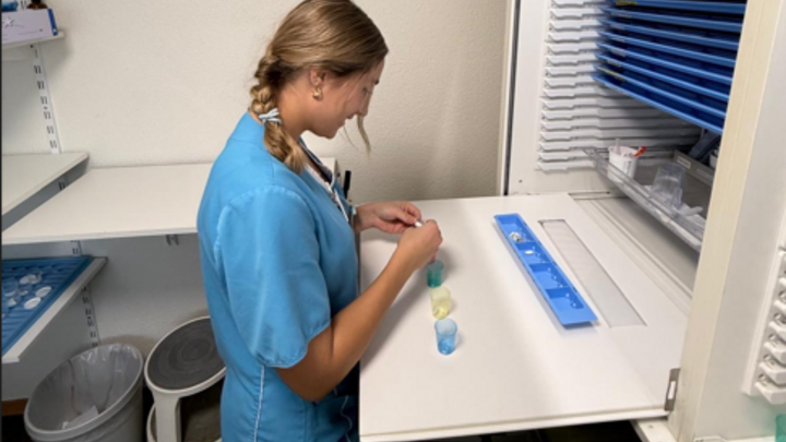 Mini-Schnuppermorgen mit FaGe i.A. 