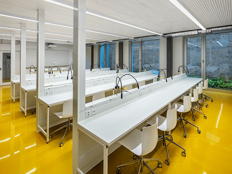 Medienbilder (Fotos: Markus Käch, Emmenbrücke)