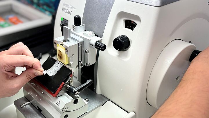 Biomedzinische Anayltik: Pathologie 